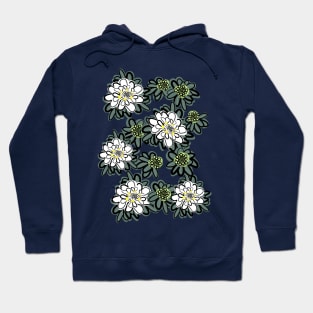 candytuft flowers Hoodie